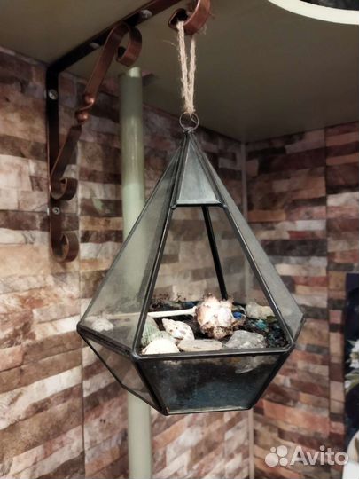 Флорариум суккуленты