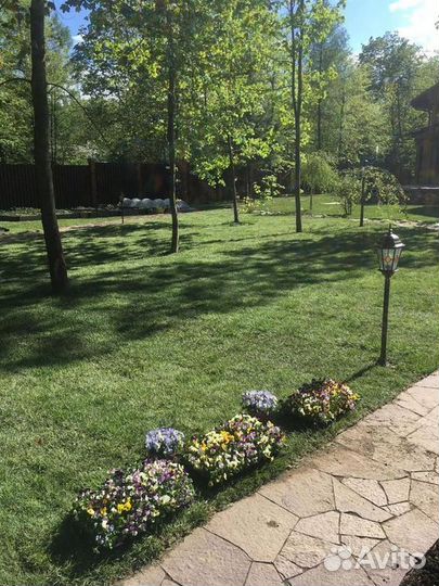 Укладка газона