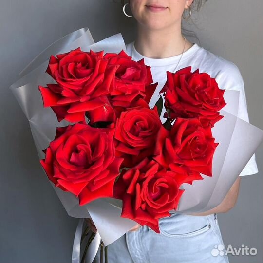 Роза красная WOW