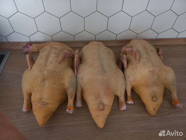 Мясо Индо - Утки