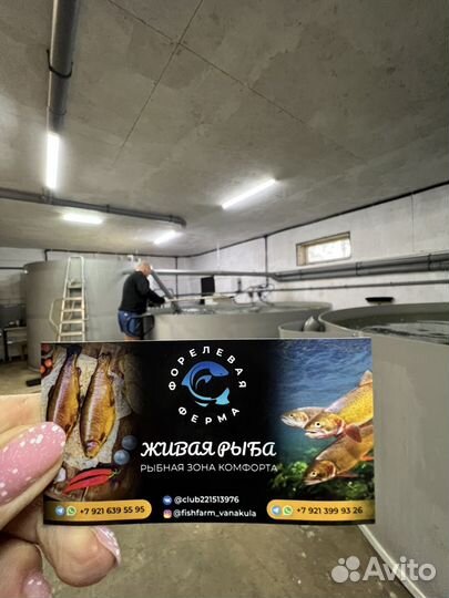 Форелевая ферма