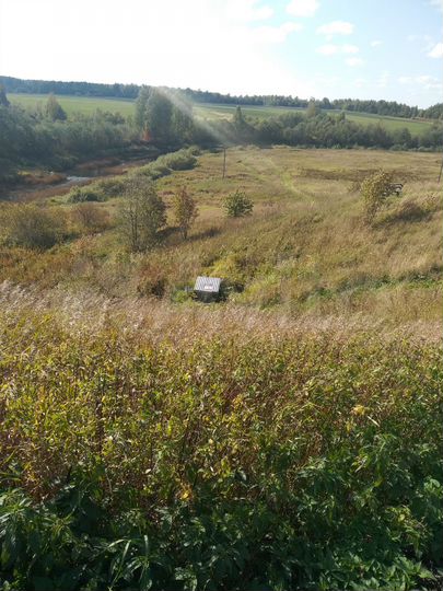 Участок 10 сот. (ИЖС)