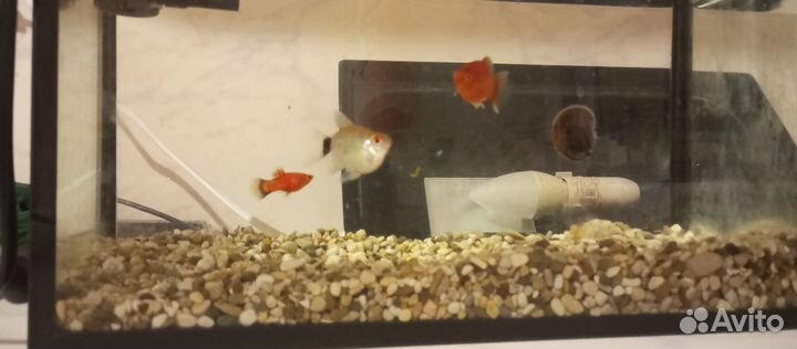 Украшение для аквариума