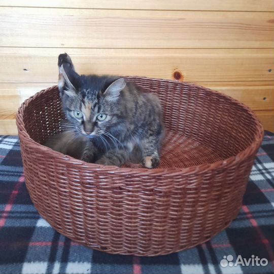 Лежанка для собак и кошек