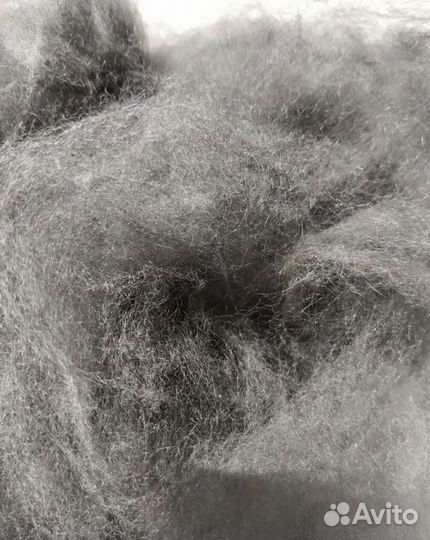 Пух-очес (тибетский мастиф)