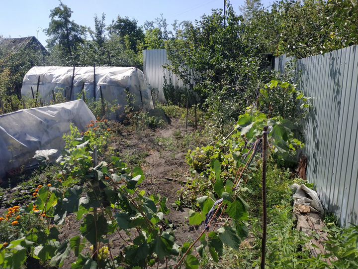 Участок 5 сот. (СНТ, ДНП)