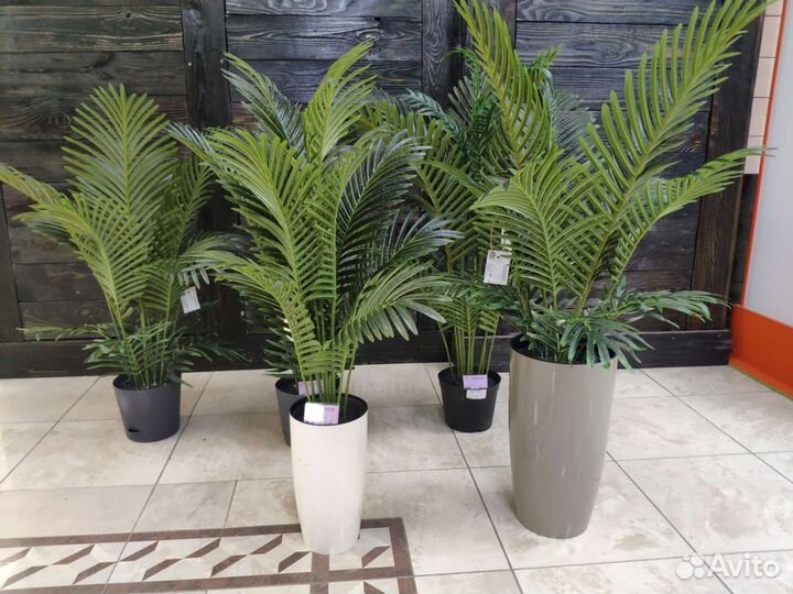 Пальма искусственная Ховея Кентия