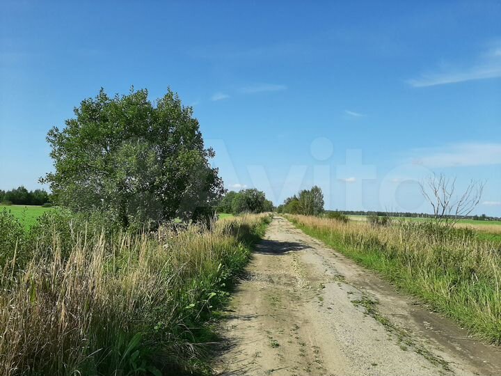 Участок 1,7 га (СНТ, ДНП)