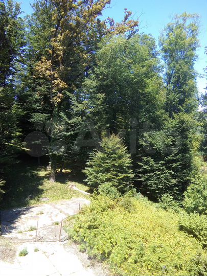 Квартира-студия, 32,8 м², 4/6 эт.