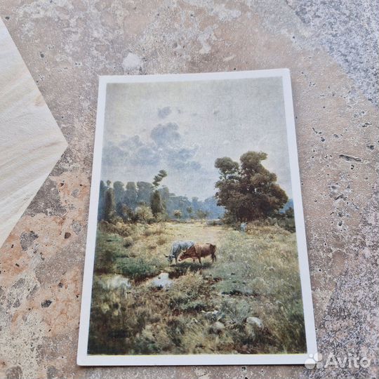 Почтовая карточка Казачья левада. Васильковский. 1