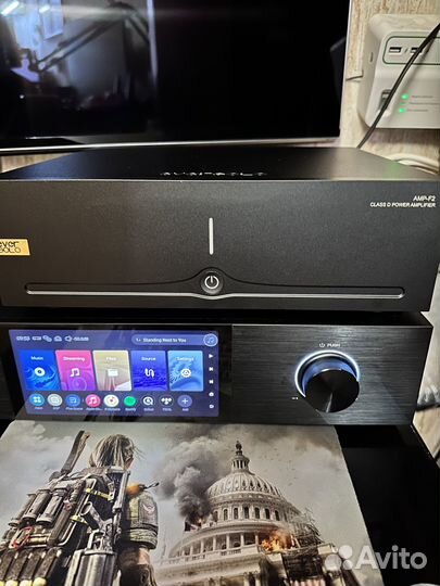 Усилитель EverSolo AMP-F2