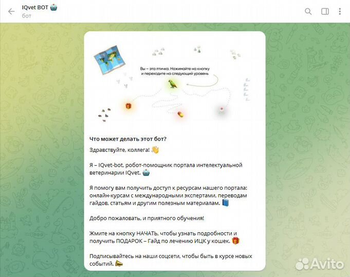 Разработка Telegram бота любой сложности под ключ