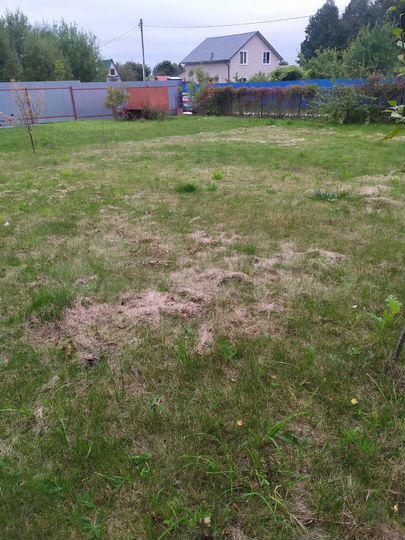 Участок 5 сот. (СНТ, ДНП)