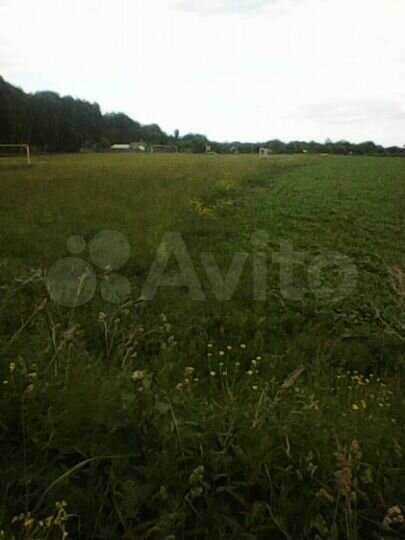 Участок 5,9 га (СНТ, ДНП)