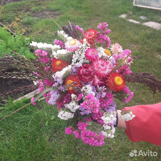 Букет цветов из сухоцветов