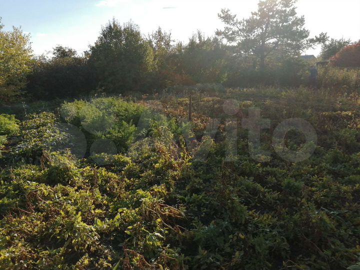 Участок 9 сот. (СНТ, ДНП)