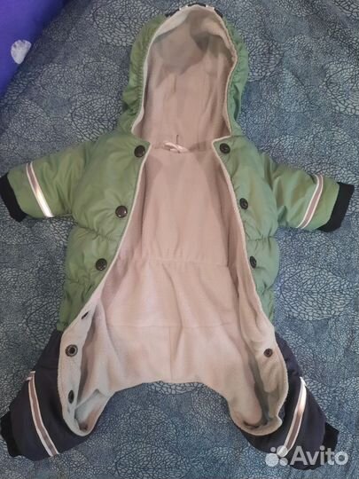 Комбинезон для Йорка