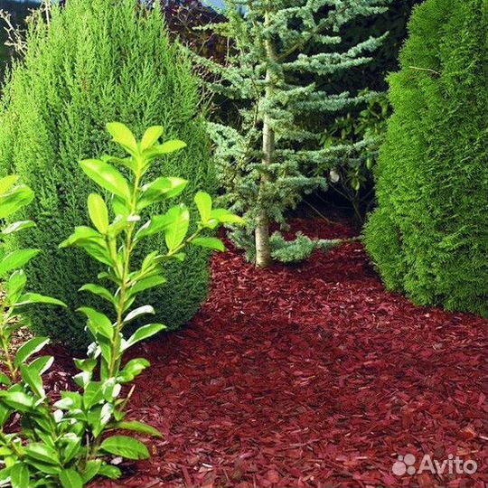 Кора лиственницы для мульчи