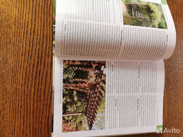 Лысиков. Вертикальное озеленение