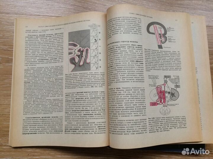 Физиология человека: В 3-х томах Под ред. Шмидта