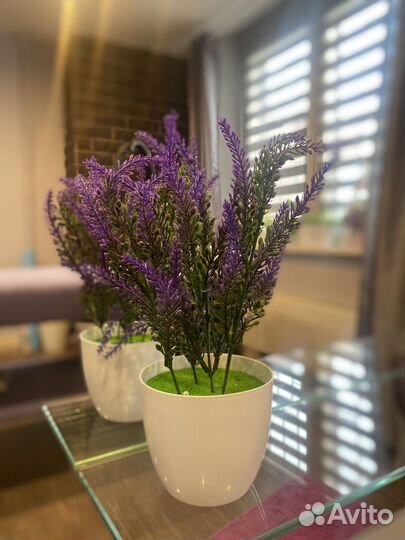 Искусственные растения в кашпо