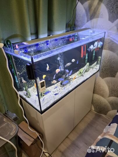 Аквариум