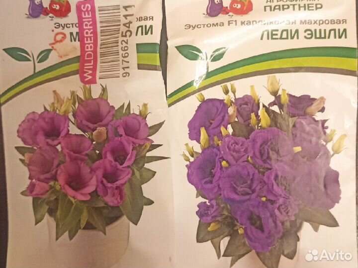 Эустома семена