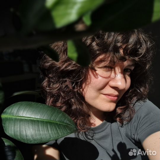 Озеленение и фитодизайн интерьеров, уход за растен