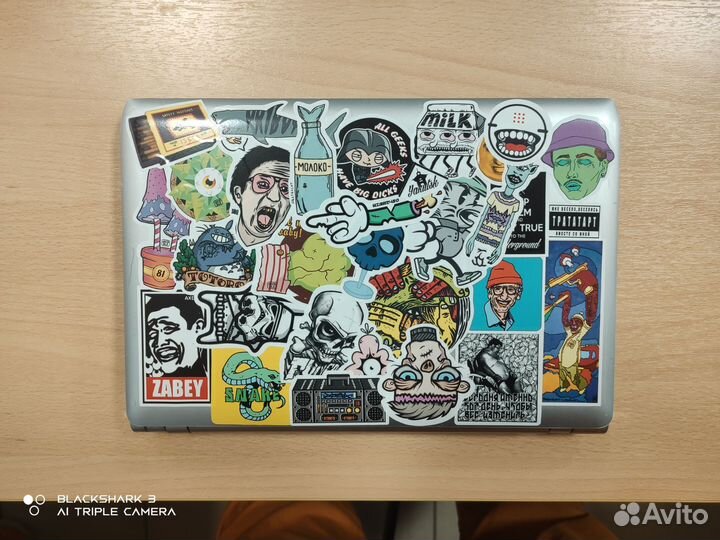 Нетбук Sony Vaio PCG-31311V