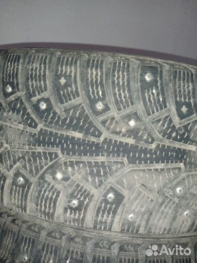 Nokian Tyres Hakkapeliitta 5 205/55 R16