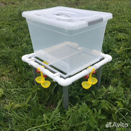 Поилка для кур