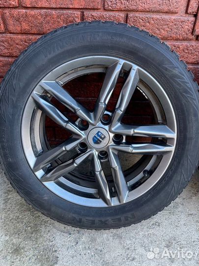 Nexen Winguard 205/55