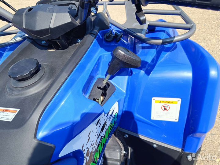 Hammer sharmax 300 LUX