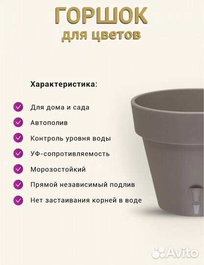 Кротон, Кодиум Вилма