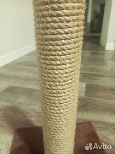 Когтеточка для кошек