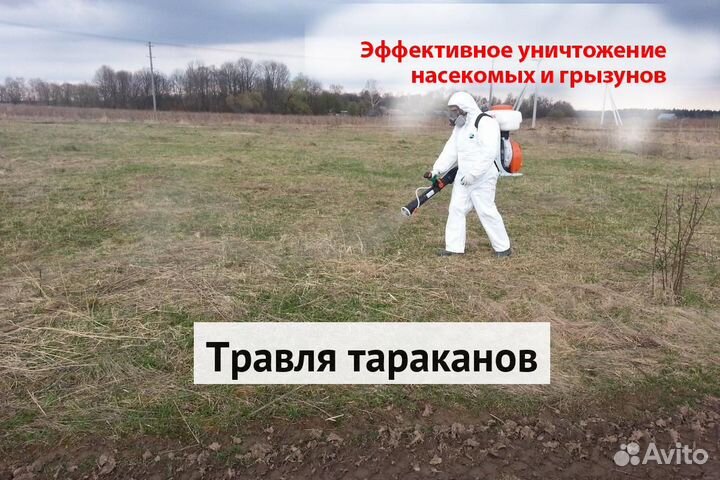 Уничтожение клопов тараканов грызунов блох плесени