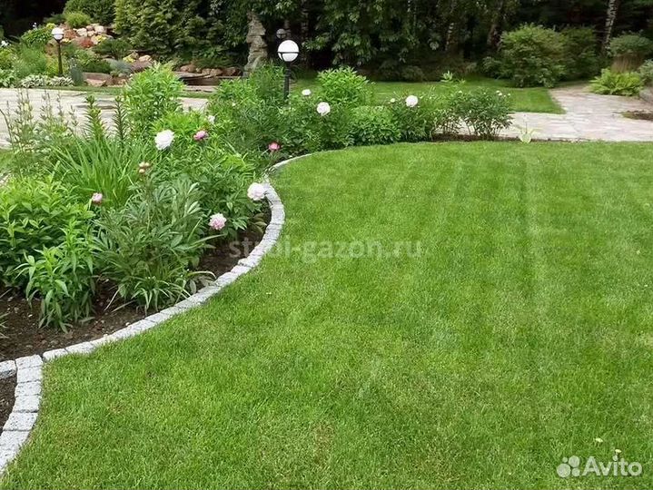 Рулонный газон, укладка, продажа
