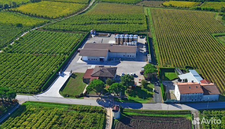 Помогу сделать Винодельню под ключ