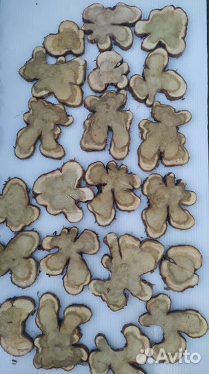 Спилы можжевельника