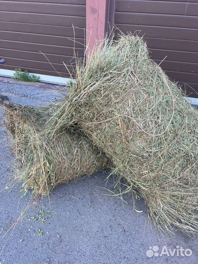 Сено в рулонах
