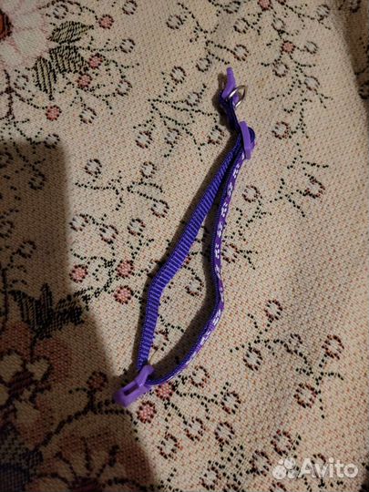 Амуниция для собаки