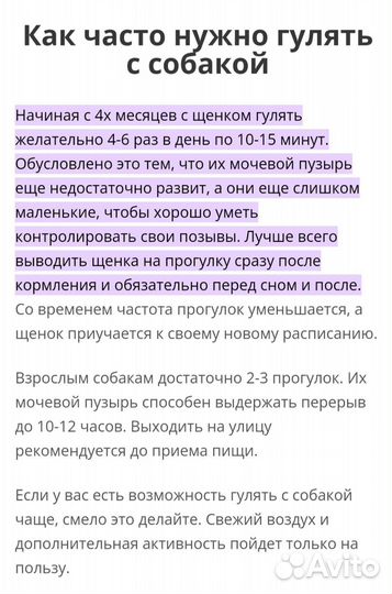 Щенок метис 3 месяца