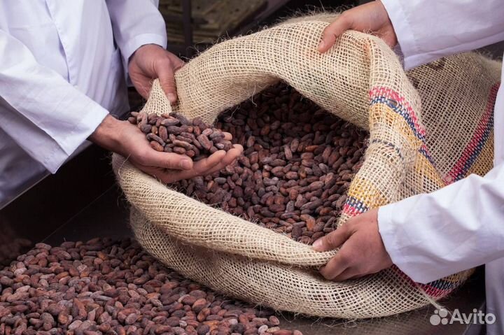Какао бобы Ecuador