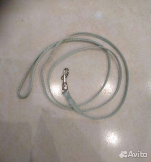 Поводок для кошек, котов и собак с ошейником