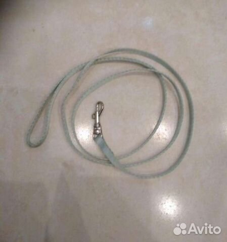 Поводок для кошек, котов и собак с ошейником