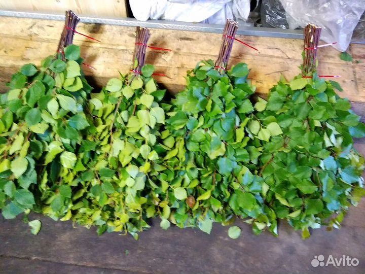 Веники березовые