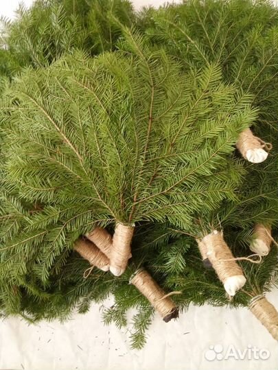 Можжевеловые пихтовое веники для банить в коробке