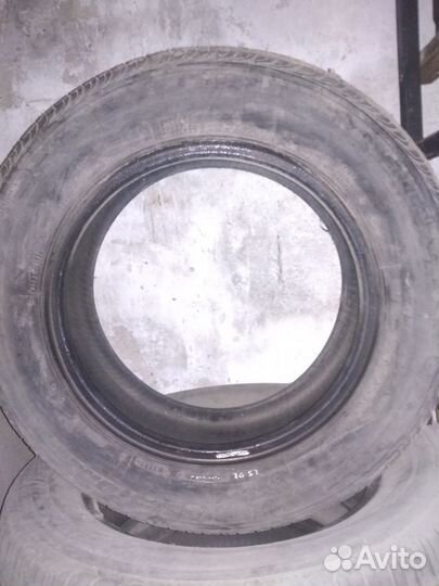 Nexen Winguard 205/65 R15