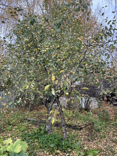 Дача 16 м² на участке 4,5 сот.