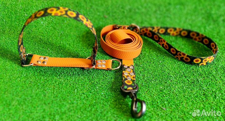 Поводок и Ошейник для собак